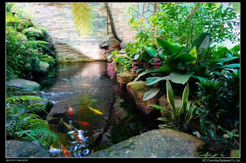 HCI FISHPOND